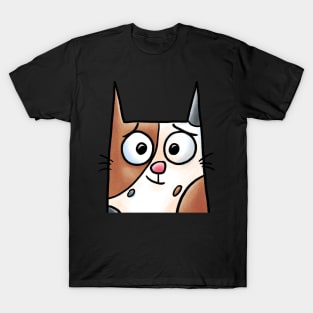 Hopeful Cat T-Shirt